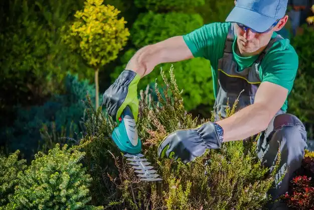 landscaping services Beechwood